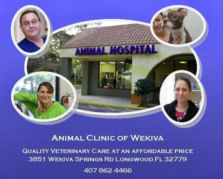 Animal Clinic of Wekiva, Florida, Longwood